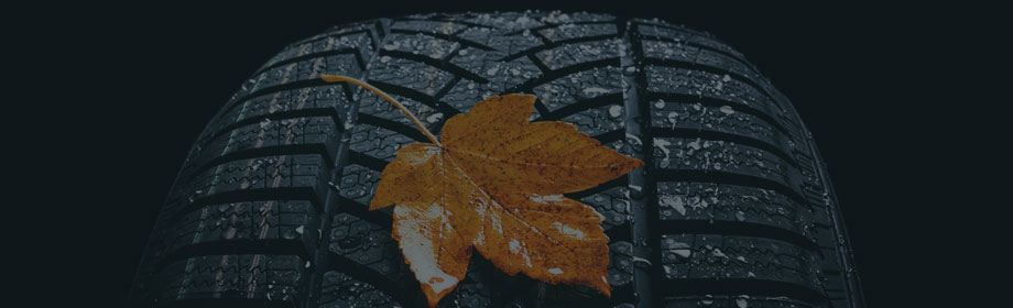 Nasser Reifen mit Herbstlaub